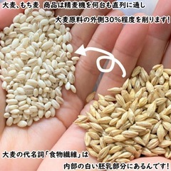 押麦の画像