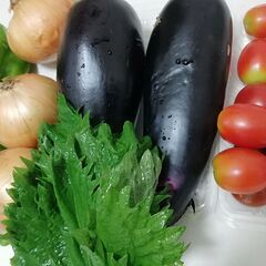 朝採れ野菜第3弾、甘い大玉スイカ丸ごと1個，甘い,ミニトマト、ピーマン、なすび、格安1200円です。 の画像