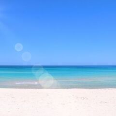 そうだ! 海に行こう!