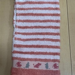 【無料】【0円】ムーミン　ペットボトルホルダー　ハンドタオルにもなる2WAYタイプの画像
