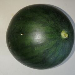 朝採れ野菜第3弾、甘い大玉スイカ丸ごと1個，甘い,ミニトマト、ピーマン、なすび、格安1200円です。 の画像