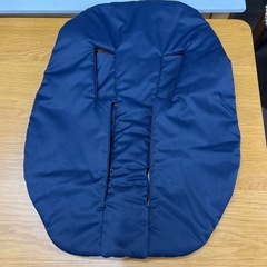 サイベックス プラチナム 美品 84741