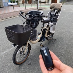 Panasonic BE-ELRE03T Gyutto パナソニック バッテリー16AH子供乗り椅子 2個付きの画像