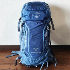 OSPREY kestrel 28 オスプレー パック ザック登...