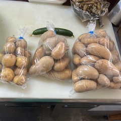 じゃがいも詰め放題^_^の画像