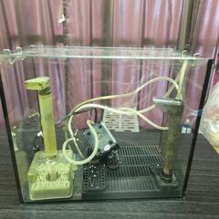 ３０cm水槽、熱帯魚使用の画像