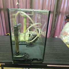３０cm水槽、熱帯魚使用の画像