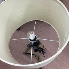 ディクラッセビエリノヴァライトの画像