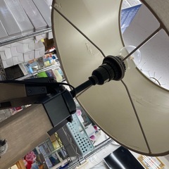 ディクラッセビエリノヴァライトの画像