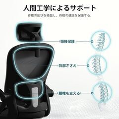 [EdoErgo] オフィスチェア 椅子 テレワーク 疲れない 勉強 学習 360度回転 腰に良い テレワーク 人間工学椅子 デスクチェア ランバーサポート付き 可動式ヘッドレスト 多機能 チェア 通気性メッシュ 事務用 在宅勤務 H-WY19 (黒網+黒枠+の画像