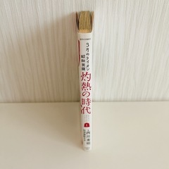 灼熱の時代の画像