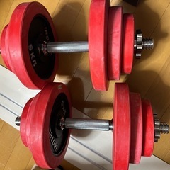 IROTEC（アイロテック） ラバー ダンベル 40kgセット（片手20kg×2個）スチールダンベルの画像