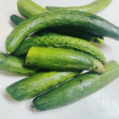 野菜！2枚目おまけの画像