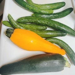 野菜！2枚目おまけの画像