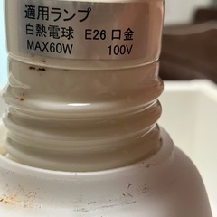 ニトリ製天井照明 廊下などの画像