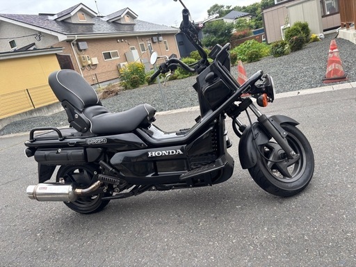 HONDA PS250 希少のブラックです!