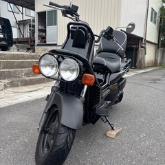 HONDA PS250 希少のブラックです!  の画像