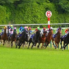 LINEグルチャ。馬好き新メンバー大募集🦄