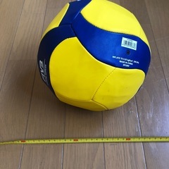 MIKASA レクリエーションバレーボールの画像