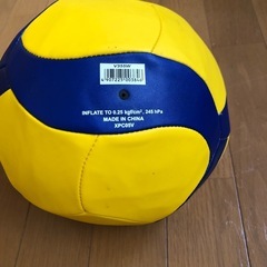 MIKASA レクリエーションバレーボールの画像
