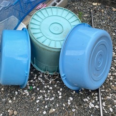水槽の画像
