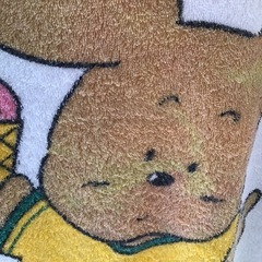 子供用大判バスタオル？タオルケットの画像