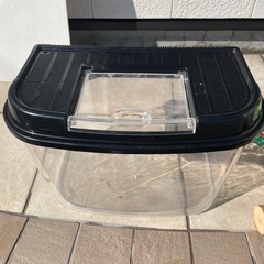 昆虫ケース大