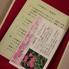 七宝焼　ペン皿の画像