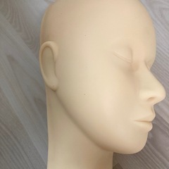 フェイシャル練習用マネキンの画像