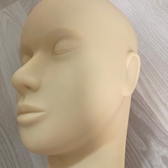 フェイシャル練習用マネキンの画像