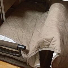 ソファベットの画像