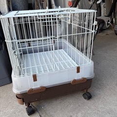 うさぎ、子犬ゲージの画像