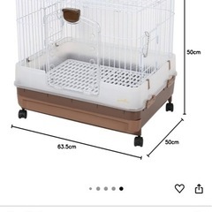 うさぎ、子犬ゲージの画像