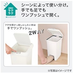 ニトリ 2wayペダルペール 20Lの画像