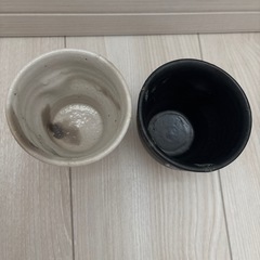 湯呑み　セット　の画像