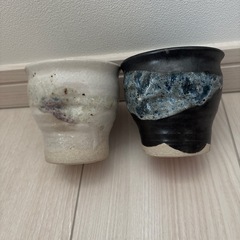 湯呑み　セット　の画像
