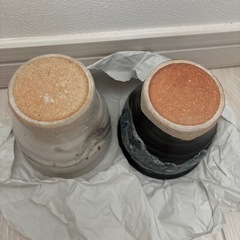 湯呑み　セット　の画像