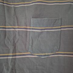 Tシャツの画像