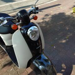ホンダスクーピーの画像