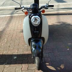 ホンダスクーピーの画像