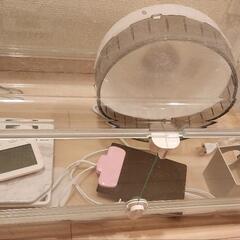 ハムスター飼育セット