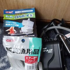 金魚　観賞魚　ロカボーイ　チューブ