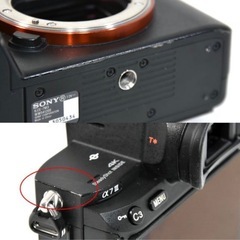 【ショット数少なめ47,858回程】SONY 
α7Ⅲの画像