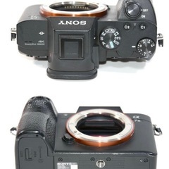 【ショット数少なめ47,858回程】SONY 
α7Ⅲの画像