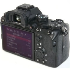 【ショット数少なめ47,858回程】SONY 
α7Ⅲの画像