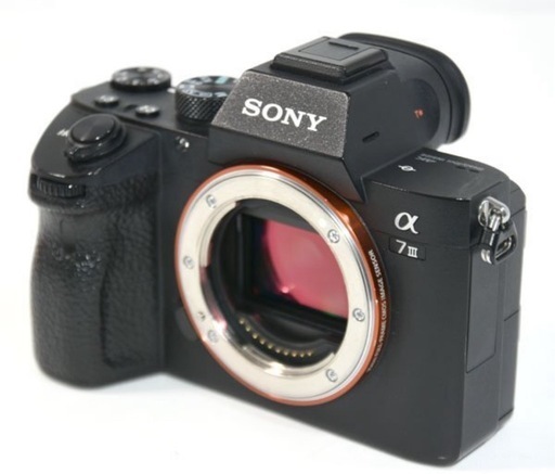 【ショット数少なめ47,858回程】SONY 
α7Ⅲ