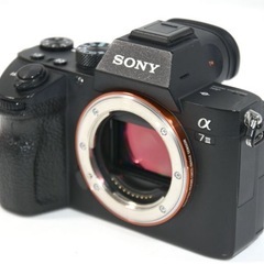 【ショット数少なめ47,858回程】SONY 
α7Ⅲの画像