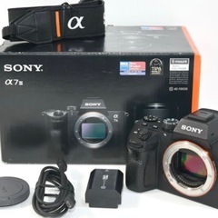 【ショット数少なめ47,858回程】SONY 
α7Ⅲ