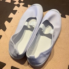 24.5センチ　上履き　未使用品の画像