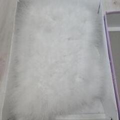 振り袖の画像